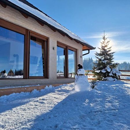 Vikendica Krlic Villa Mitrovac Eksteriør bilde